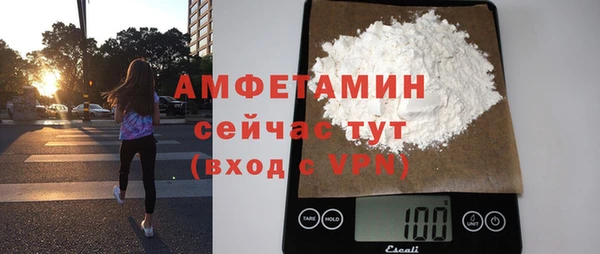 прущие грибы Баксан