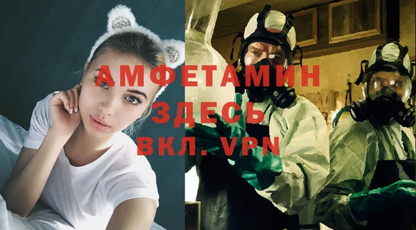 ГАЛЛЮЦИНОГЕННЫЕ ГРИБЫ Белокуриха